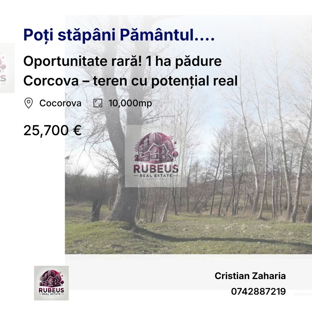 Oportunitate rară! 1 ha pădure Corcova – teren cu potențial real - Poză 1