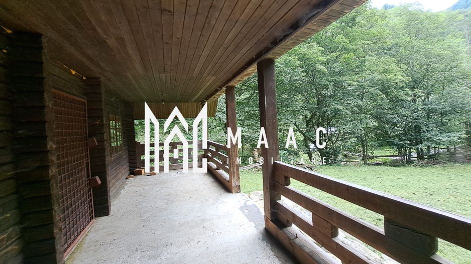 Paradis pe Transalpina in Sugag - Poză 22