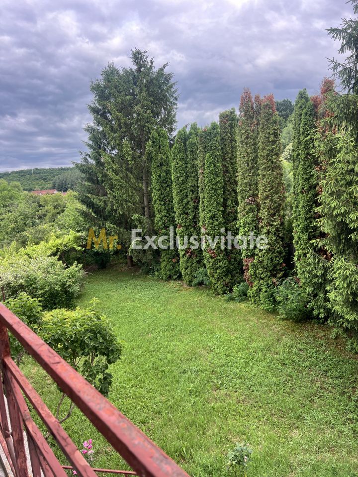 Acasă la Bascov- Județ Arges cu peisaj de poveste - Poză 2