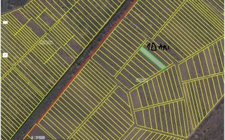 Oportunitate de Investiție – Teren Agricol 35 Ari în comuna Răzeni, r. Ialoveni - Poză 6