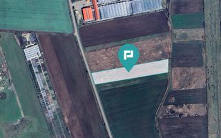 Teren arabil intravilan 10.333mp - Livada - Poză 1