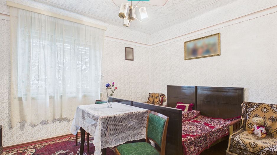 Casă cu teren 4065mp în Dorobanți, județul Arad - Poză 3