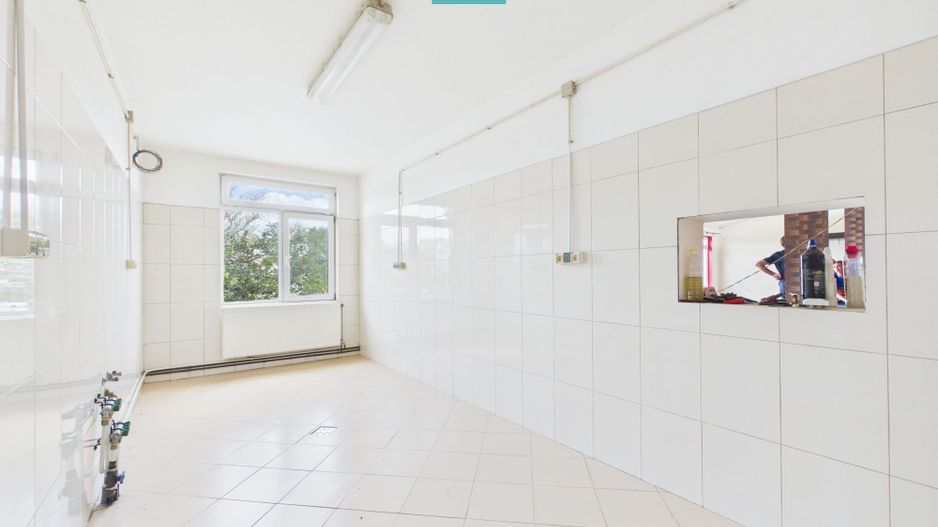 Imobil 700 mp cu teren de 2775 mp, Sântana - Poză 6