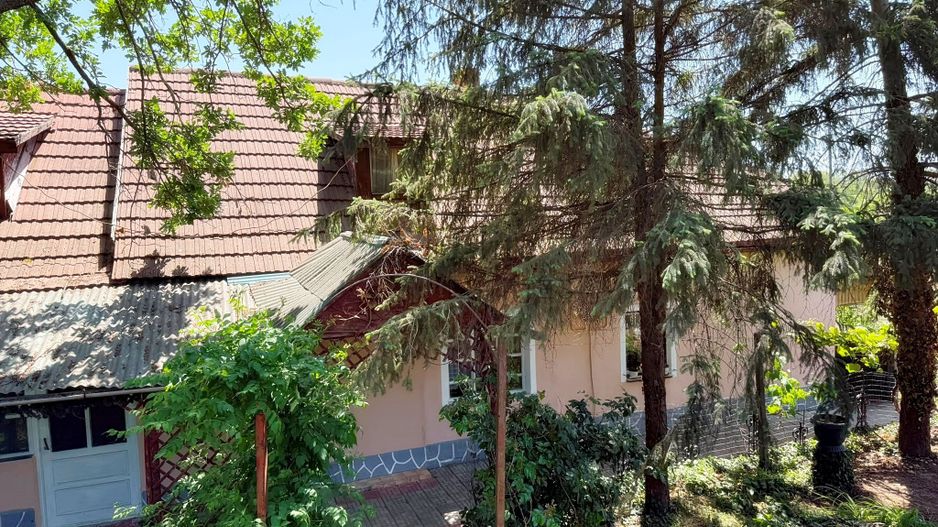 Casă de vanzare cu teren generos de 6.732 mp la E671 Leș, Bihor - Poză 1