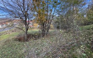 TEREN INTRAVILAN 13167 MP BUGHEA DE SUS ARGES - Poză 32