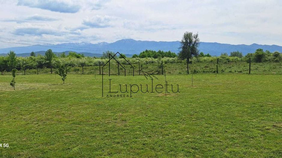 Teren Extravilan | 2.000 MPU | Intabulat | Zonă liniștită - Poză 4