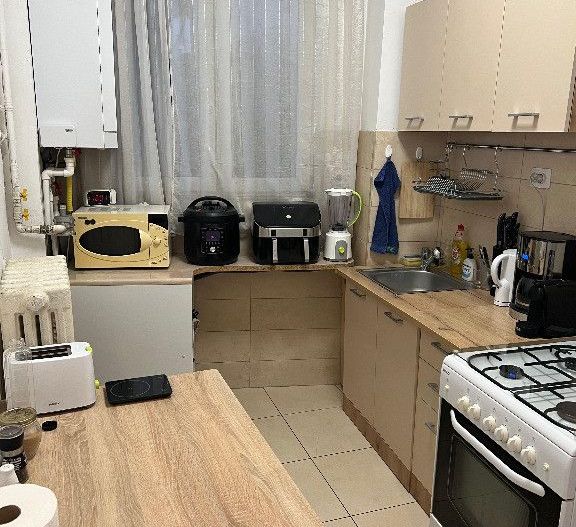 Apartament 3 camere Gradina Icoanei - Poză 12