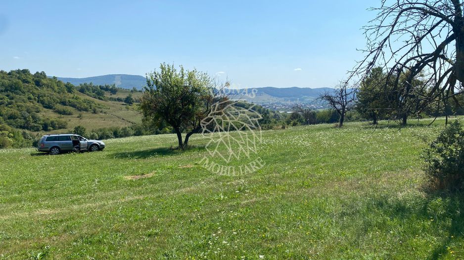 Teren 11.000 mp-ideal cabana/ferma-Unirea-Valea Slatinitei - Poză 4