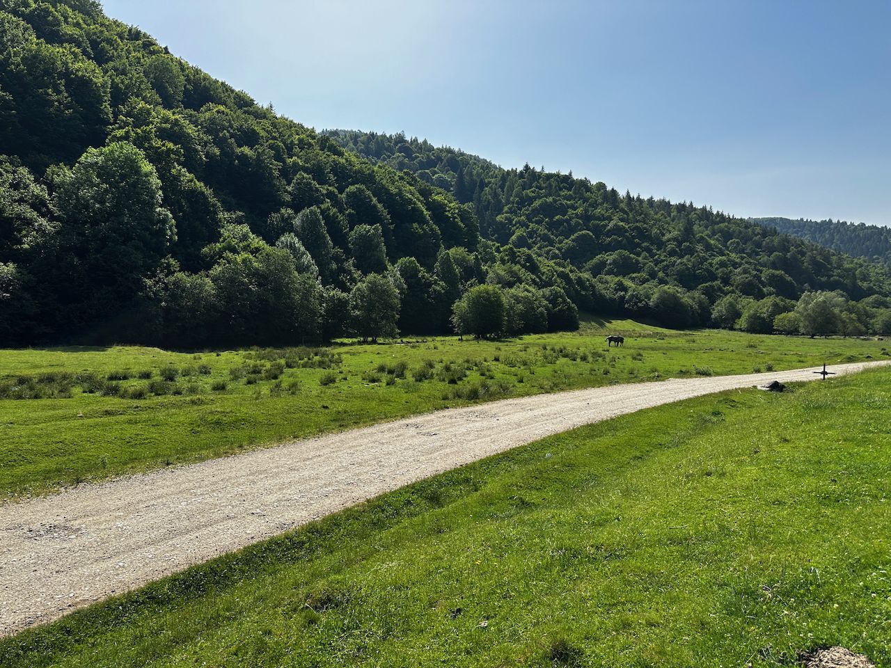 2 Loturi a 2124+2744mp Barsa Fierului / Plaiul Foii - Poză 8