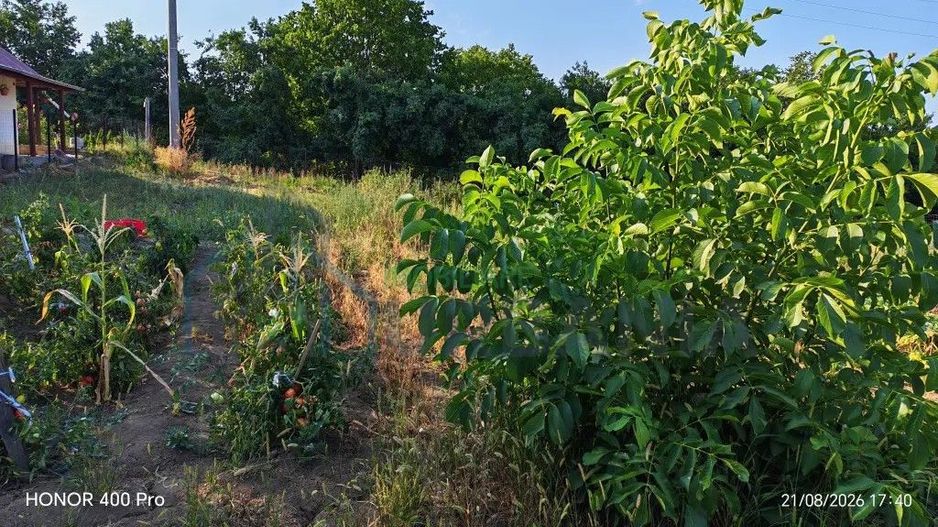 Teren de vânzare în Dealul Viilor, Hârlău – 2.100 mp, gard și pomi fructiferi - Poză 1