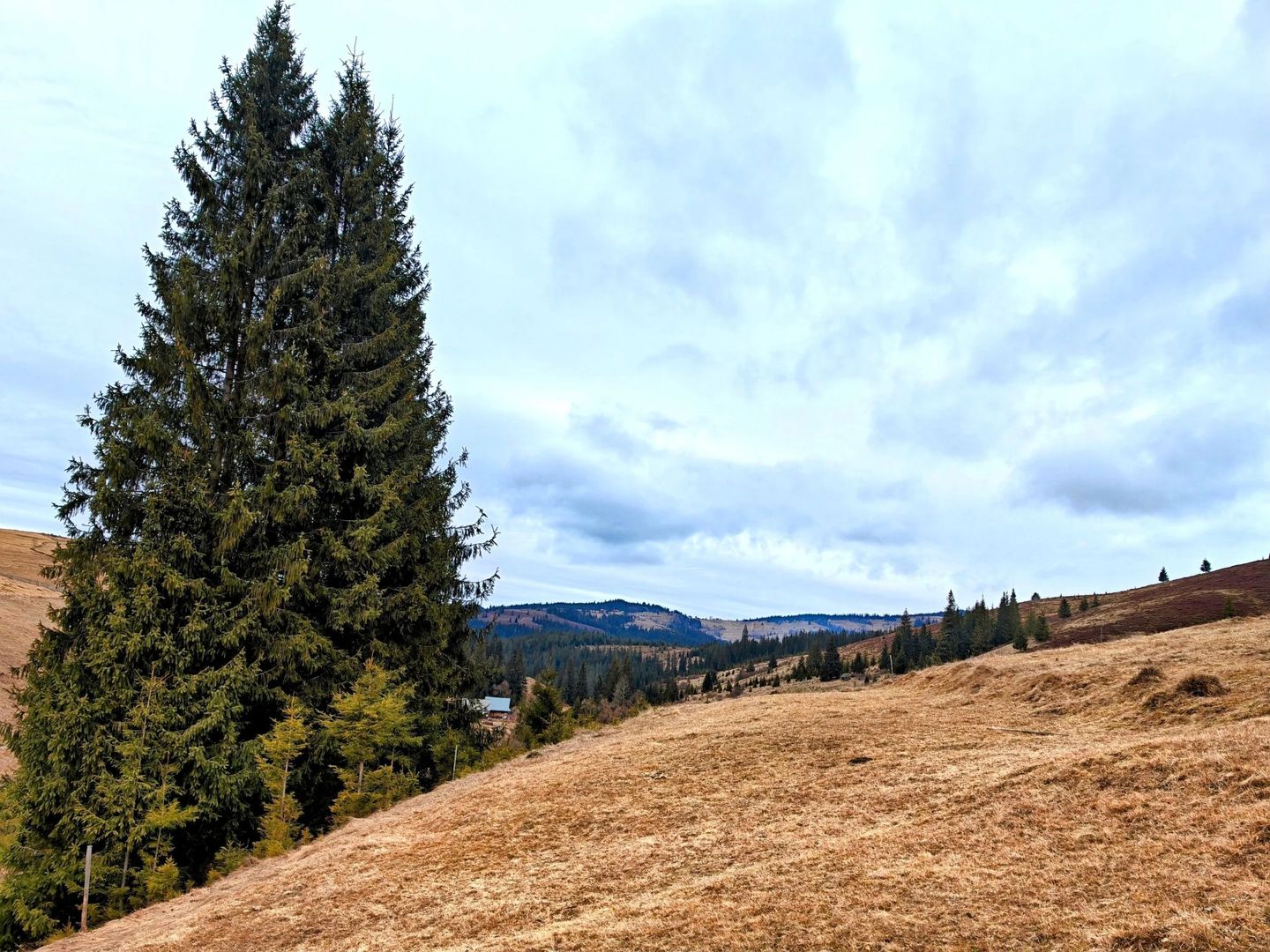 Teren 9511 mp + casa, intravilan, în Beliș Munții Apuseni, Cluj - Poză 1