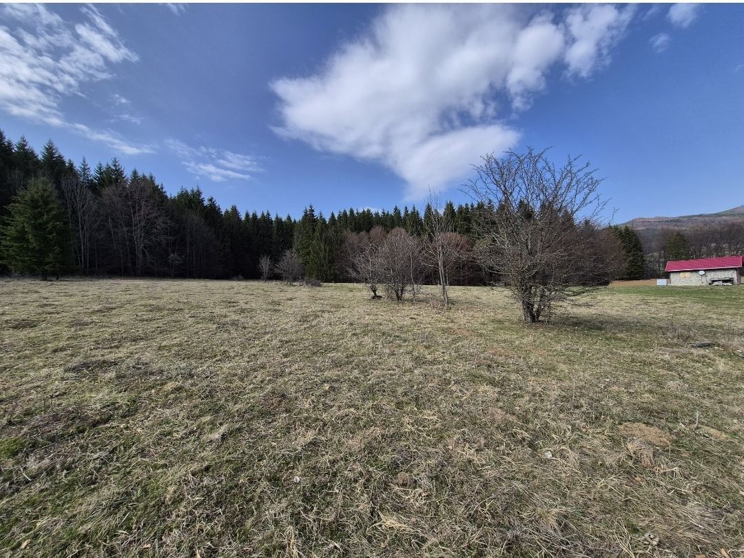 Teren intravilan la baza pădurii Valea Doftanei sat Traisteni (poduri) - Poză 2