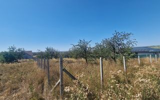 Teren Intravilan | Imprejmuit | 1000 mp | Paleu | Bihor - Poză 5