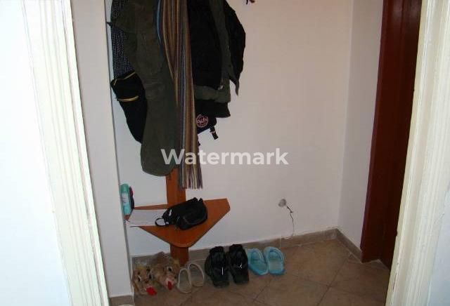 Nicolae Grigorescu - Poză 3