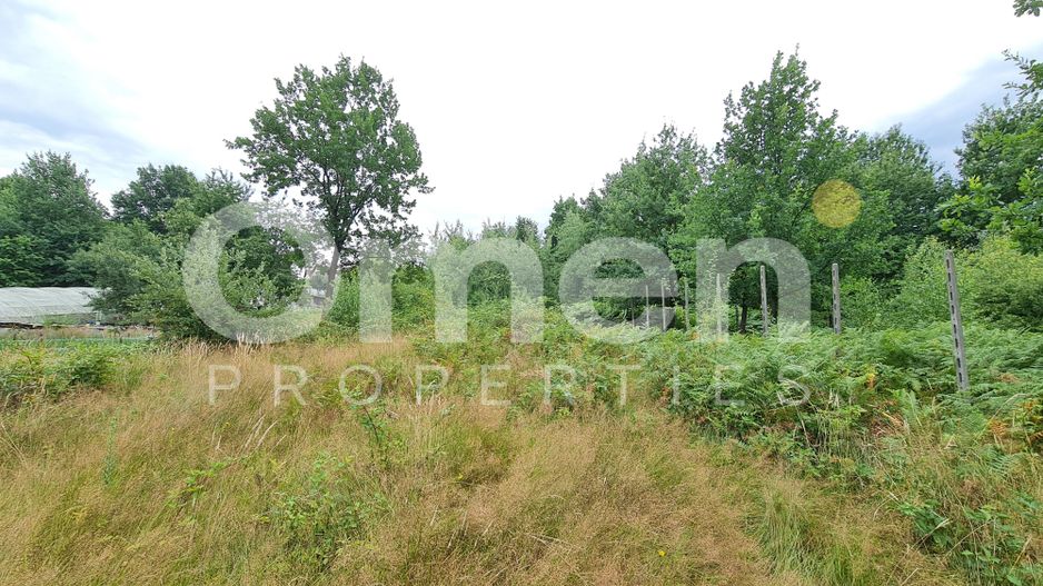 Teren intravilan de vânzare | 1.656 mp | 69.000 € | strada Murelor | Groși - Poză 3