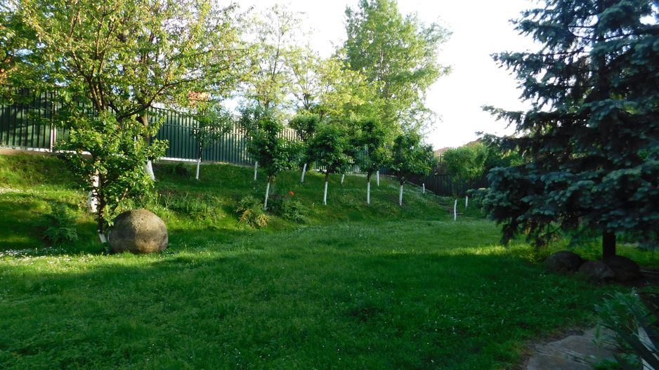 Vilă cu 1.350 mp teren în mijlocul orașului Grădina Botanică - Poză 17
