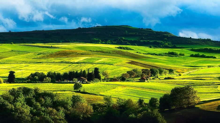 1.500 ha Teren agricol și pășune (Vestul României) - Poză 2
