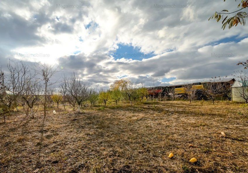 Vanzare ferma agricola Negru Voda - Constanta cu 240 hectare teren si utilaje - Poză 8