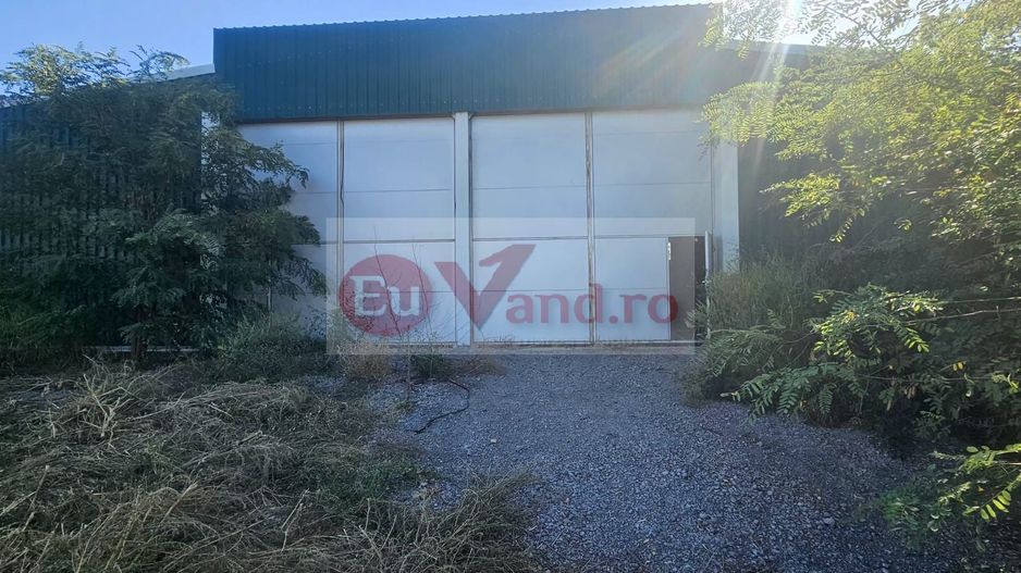 Hala 1.533 mp cu teren 5.000 mp – Vanatori, zona Maylo - Poză 12