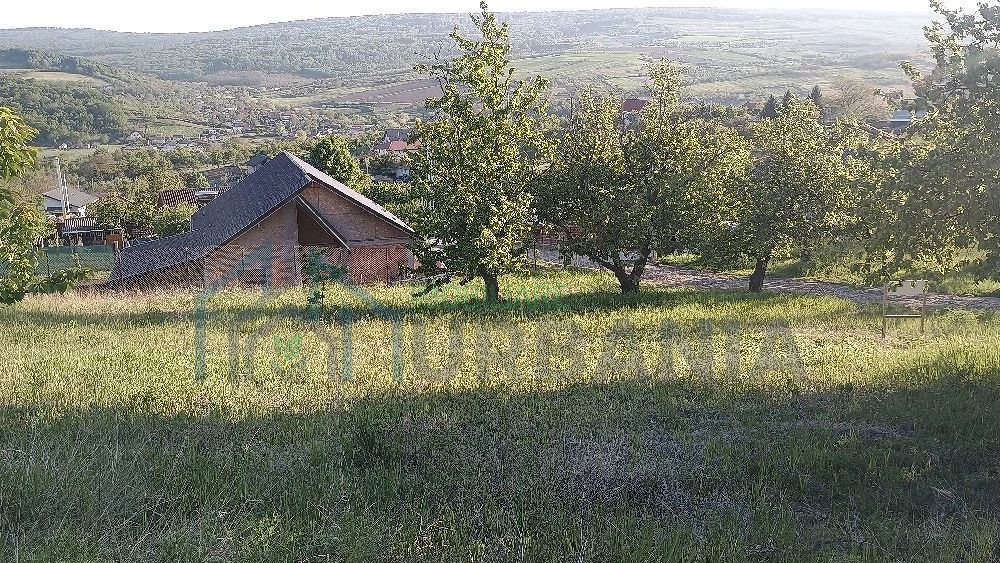Teren intravilan de vânzare în Chicerea-Tomești, două parcele, utilități la limită - Poză 2