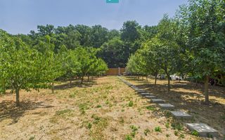 Teren edificabil 1106 mp – Dumbrăvița - Poză 2