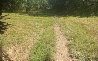 Teren de vânzare – Moisei, Maramureș - Poză 5