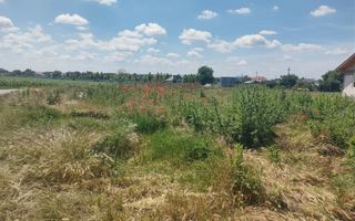 Vânzare 2 loturi de casă Dobreni Giurgiu - Poză 4