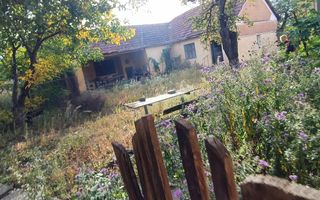 🏡  Casă de Poveste în Șiria, Arad- Locație Rară - Poză 17