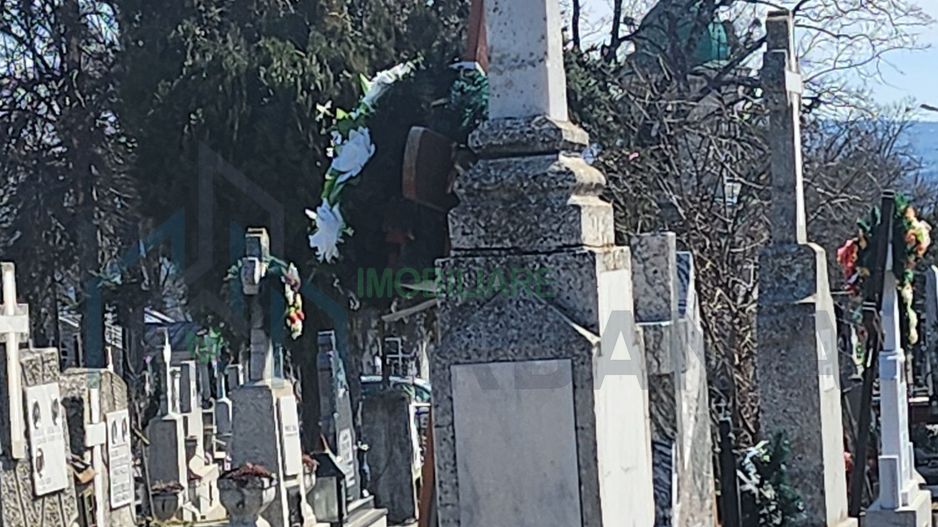 Cavou cu 2 locuri în Cimitirul Eternitatea, Iași - Parcela 4 - Poză 2