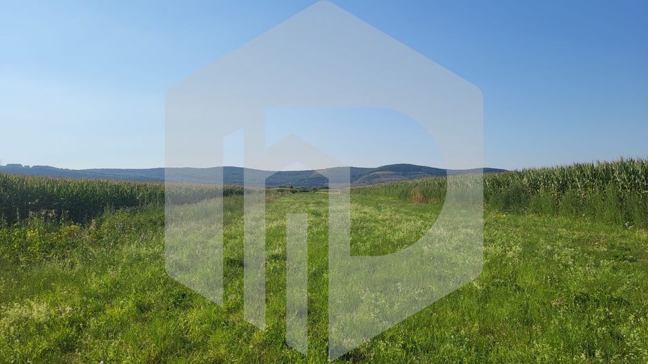 Teren in Orlat | Deschidere la Drum Judetean | 25Euro mp - Poză 2