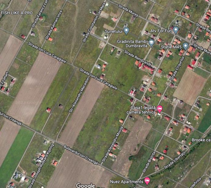 TEREN DUMBRAVITA 918 MP - Poză 1