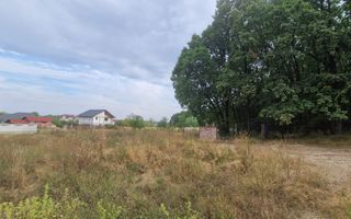 AZURA Imobiliare - Vanzare teren Hintesti, langa padure, 300m din DN - Poză 12