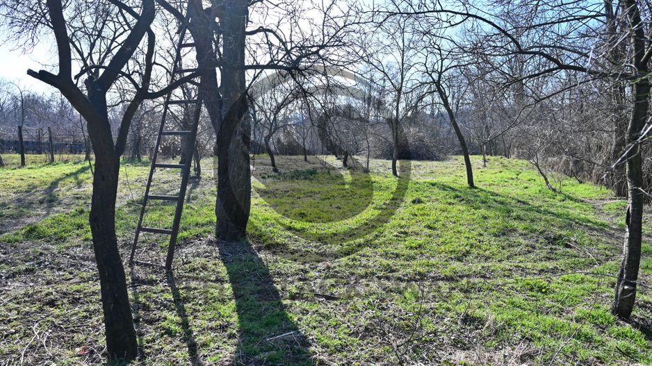 Case de vânzare | 2.128 mp teren | Filipeștii de Pădure | Comision 0% - Poză 18