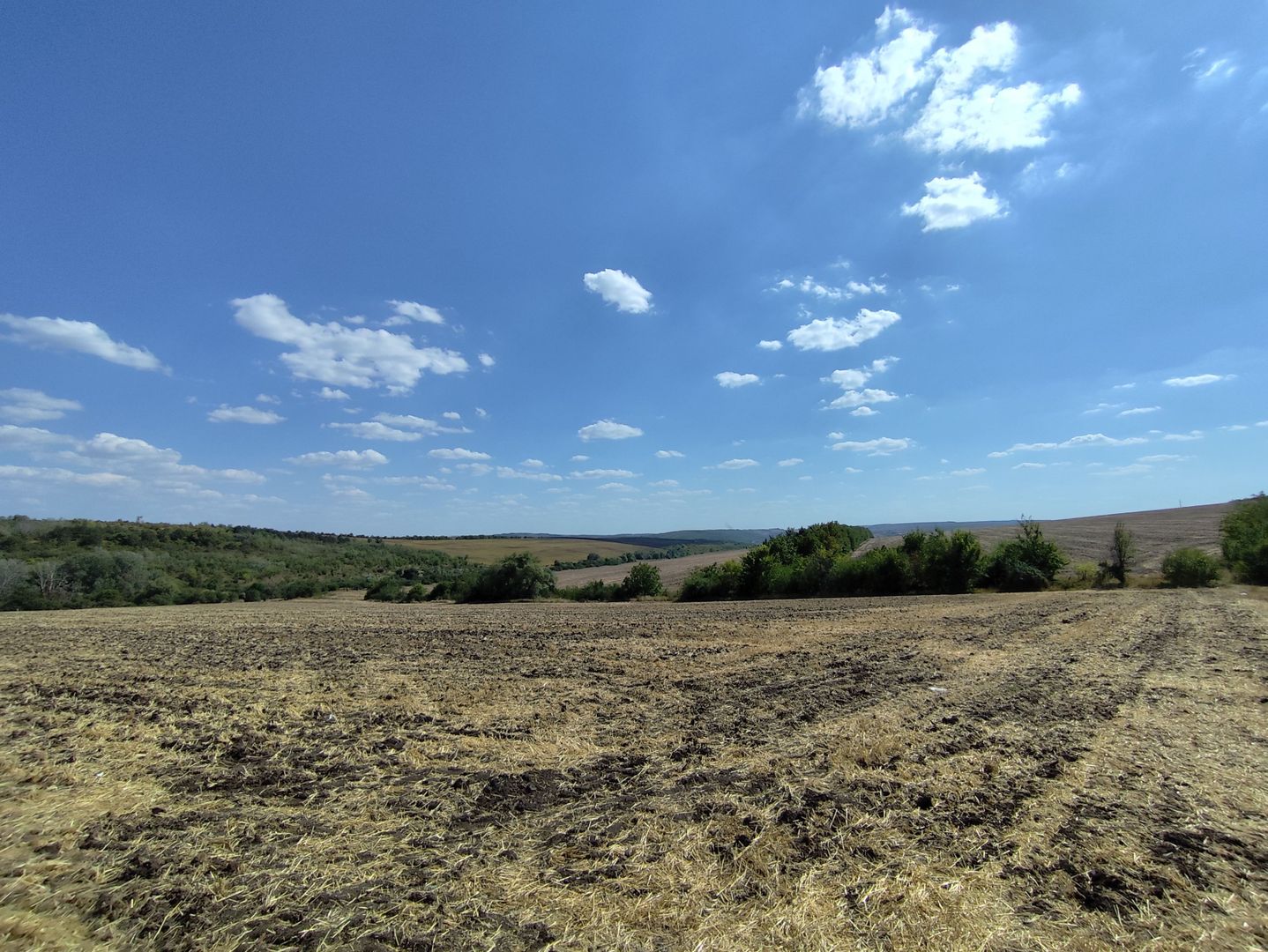 Lot agricol Budești, Mun. Chișinău - Poză 4