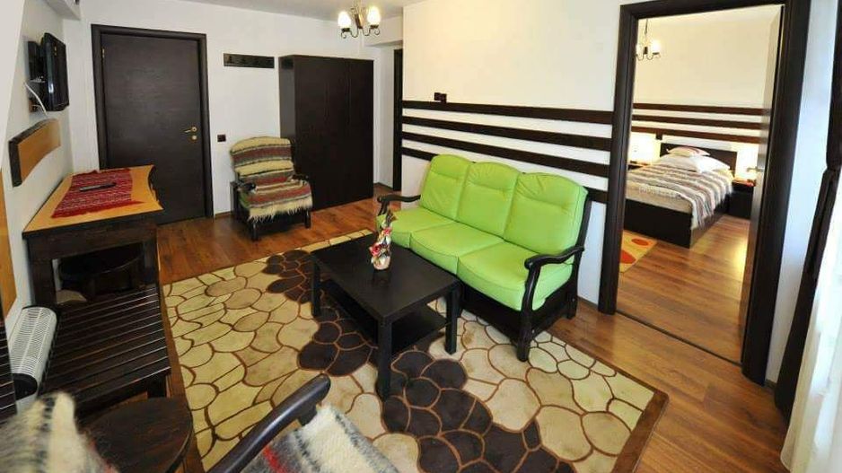 Pensiune de Vânzare în Brădetu – Acces la Apă Sulfuroasă, Vedere rau si munte - Poză 11