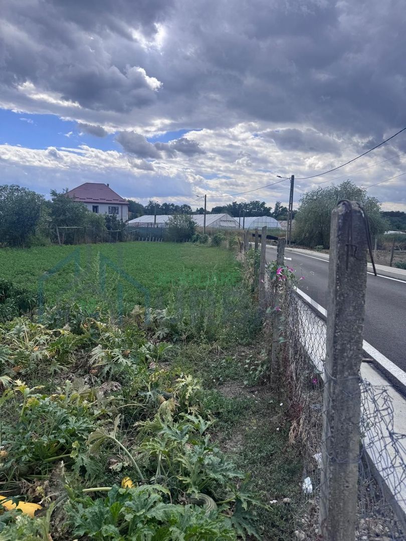 Casă de vânzare în Târgu Frumos, strada Tudor Vladimirescu - Poză 1