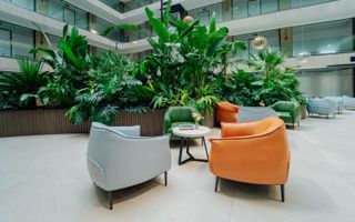 Spațiu Comercial Premium CHIRIE – 170 m² - Poză 10