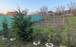 Casă de familie în Dorobant, zonă metropolitană, 253 mp, P+M+Pod, 2 apartamente decomandate, 2012 - Poză 4