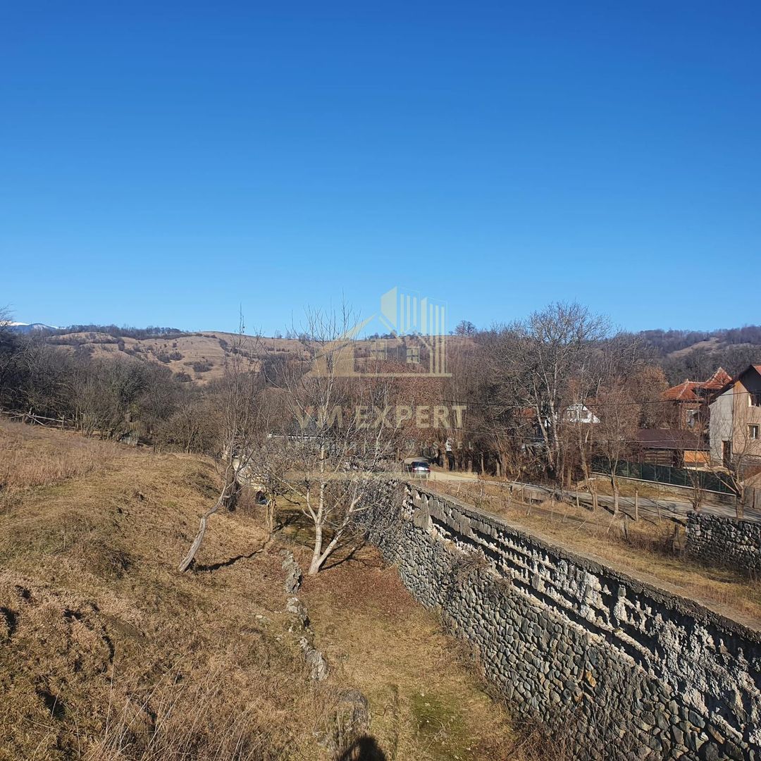 TEREN INTRAVILAN 4614 MP, CAMPULUNG - VALEA ROMANESTILOR - Poză 9
