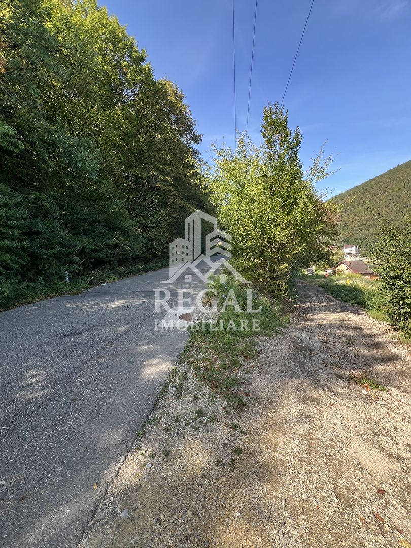 Teren extravilan de vânzare – Lacul Cinciș - Poză 2