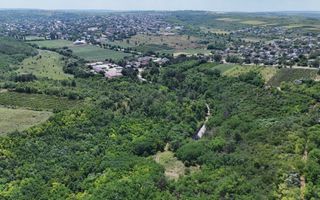 Teren de 37.5 ari în inima pădurii – Oportunitate unică de investiție lângă Crama Mileștii Mici! - Poză 3