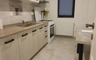 Apartament 1 camera Lunca Cetatuii - Poză 7