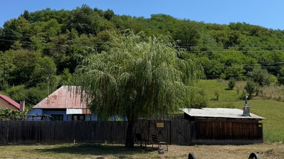 🏡 CASĂ BĂTRÂNEASCĂ DE VÂNZARE – SĂNDULENI,  💥 Comision 0% - Poză 6