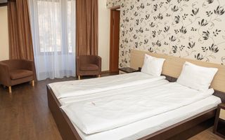 Pensiune, teren 4.460 mp, Hidișelul de Jos, Bihor. 685.000 Euro (neg). - Poză 22