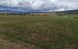 Teren intravilan 5217 mp cu utilitati-ideal case-Livezile - Poză 1