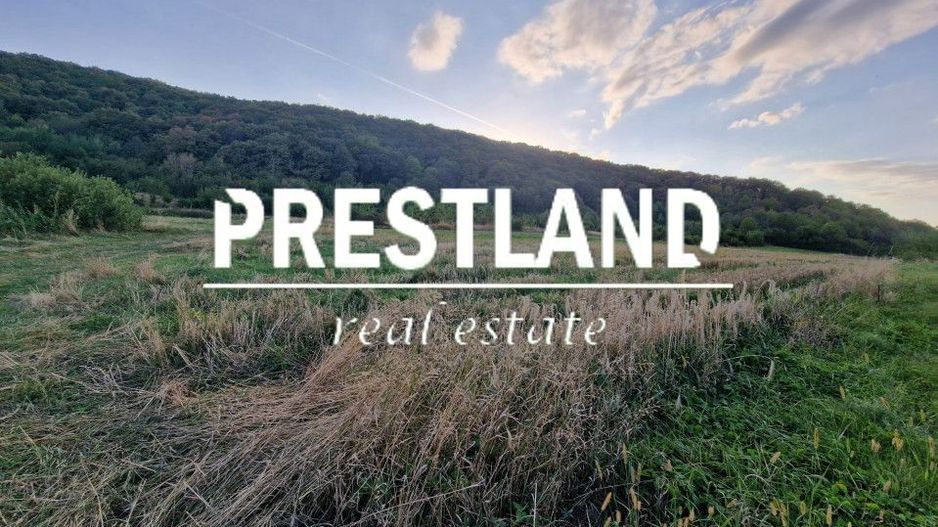 Teren pretabil cabana zona Poplaca  - Poză 3