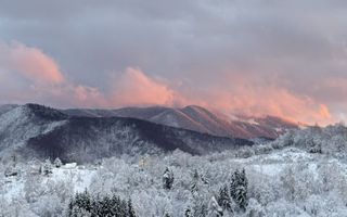Apartament Premium, 3 Camere , Drumul Poienii– Stejăriș - Comision 0 - Poză 3