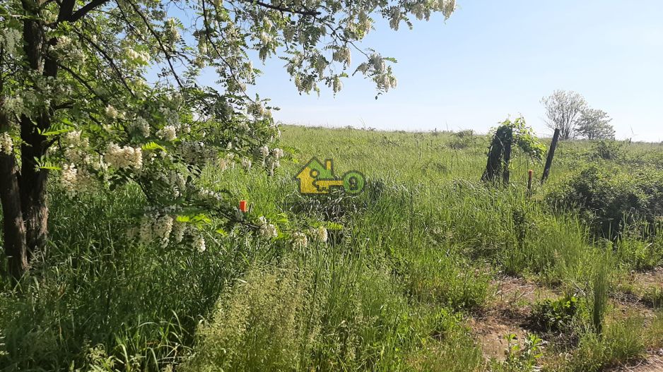 Teren Extravilan, Dealu Viilor, Lugoj - Poză 6