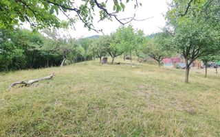 Teren de vânzare | Suprafață 10.040 mp | 2.500 € / ar | Strada Nucului - Poză 3