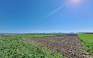 Teren extravilan, 8700 mp, pretabil agricultură sau investiție - Bod - Poză 9